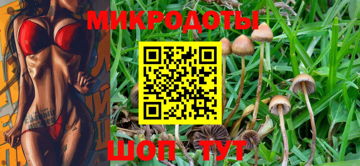 Галлюциногенные грибы ЛСД  Псилоцибиновые грибы Magic Shrooms  Вход с VPN  Елабуга 